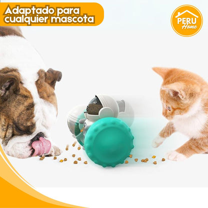Pet Food Dispenser