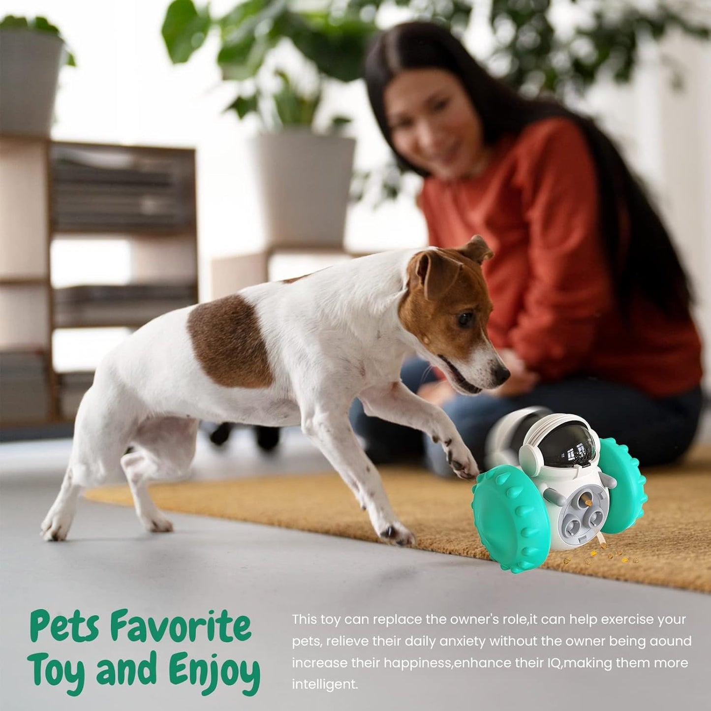Pet Food Dispenser