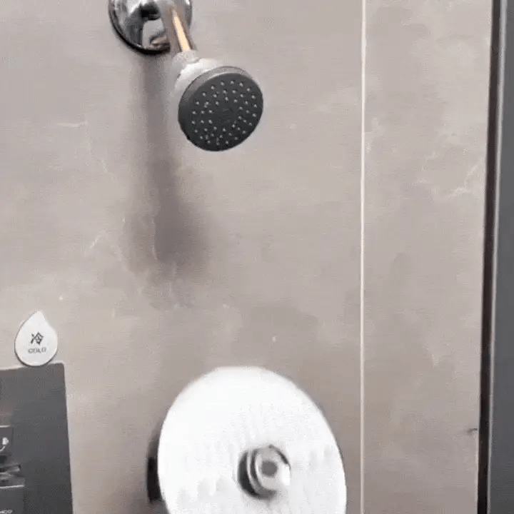 5 Mode Rain Shower Head